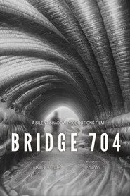 Bridge 704