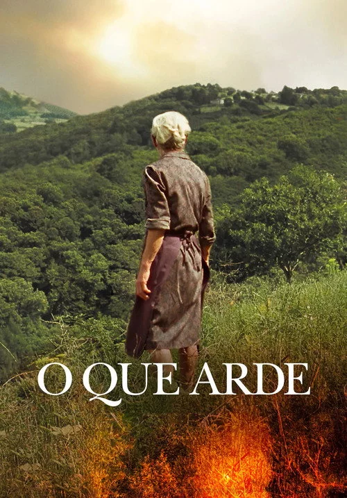 O que arde