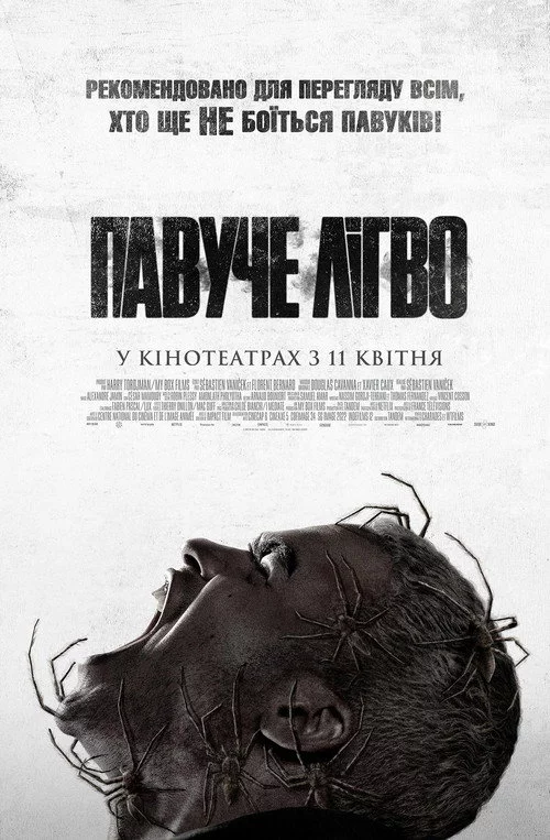 Павуче лігво