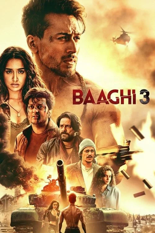 बाघी ३