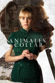 Animales sin collar