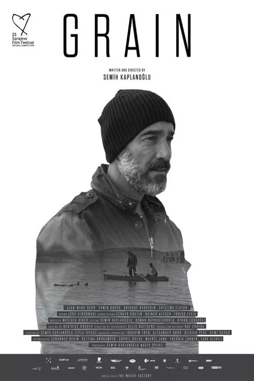 Buğday