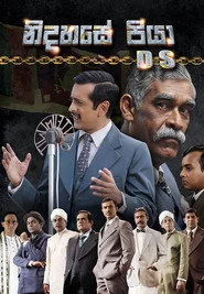නිදහසේ පියා DS