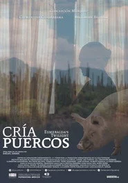Cría puercos