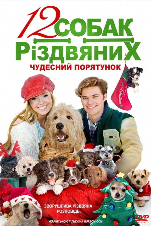 12 Різдвяних собак: Чудесний порятунок