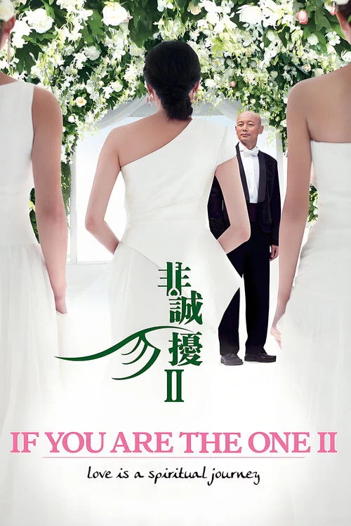 非诚勿扰2