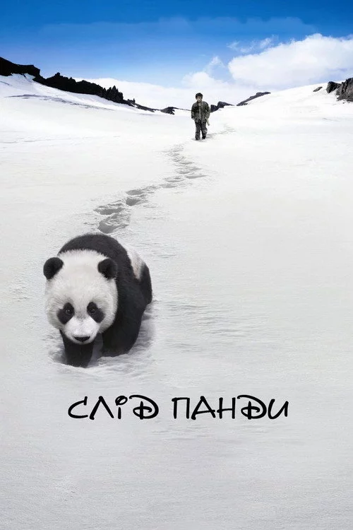 Слід панди