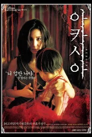 아카시아