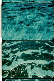 A Child’s Garden and the Serious Sea