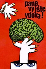 „Pane, vy jste vdova!“