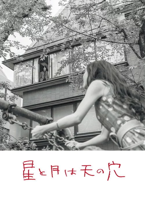 星と月は天の穴