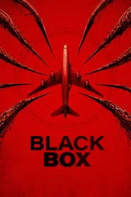 Black Box (Flight 298)