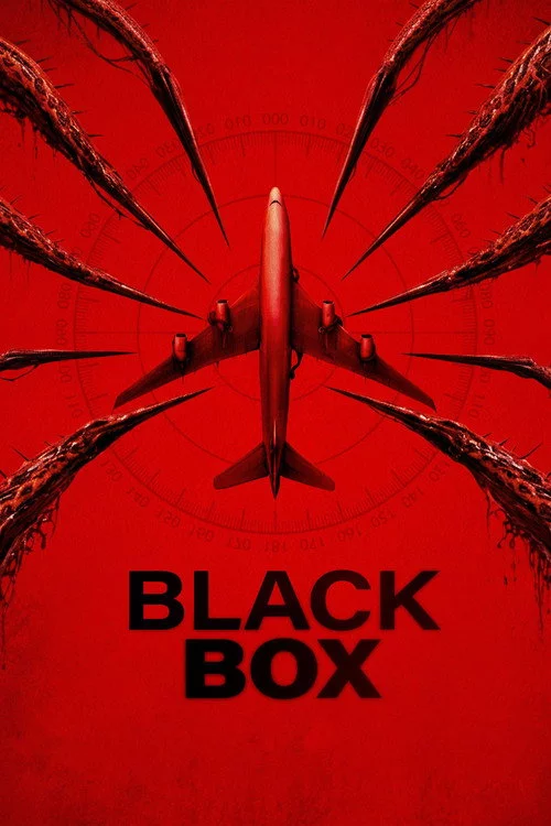 Black Box (Flight 298)