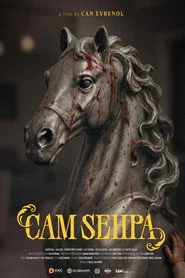 Cam Sehpa