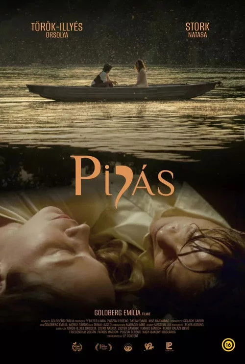 Pipás