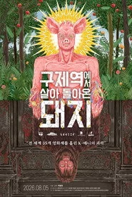 구제역에서 살아 돌아온 돼지