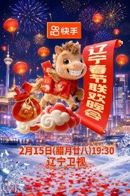 2026年辽宁卫视春节联欢晚会