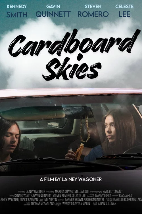 Cardboard Skies
