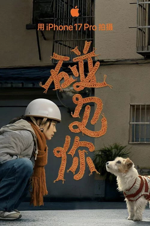 碰见你