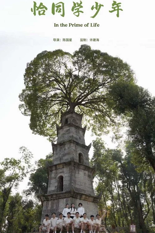 恰同学少年