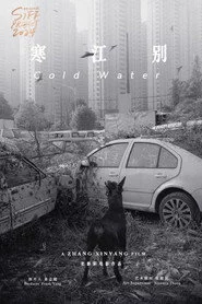 伤寒杂病论
