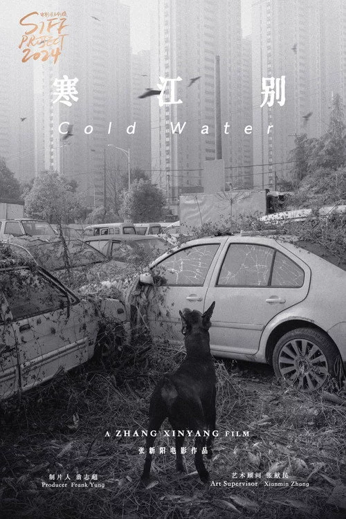 伤寒杂病论