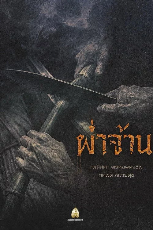 ผ่าจ้าน