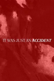 It Was Just an Accident
