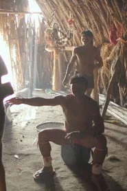 Arquivo Vivo
