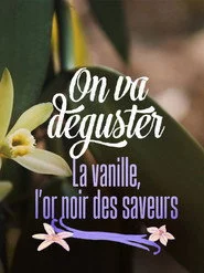 On va déguster : La vanille, l'or noir des saveurs