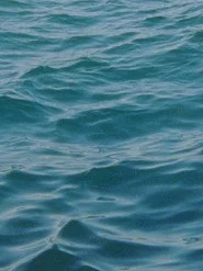 Water Diary