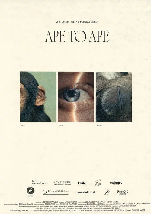 Aap tot Aap