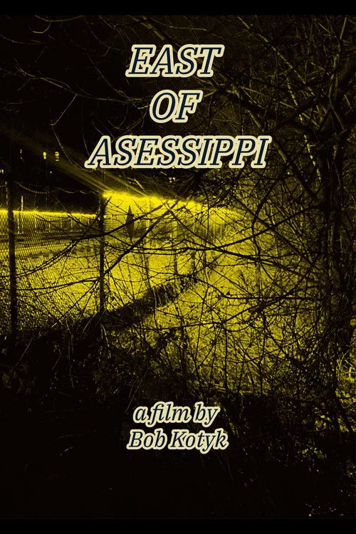 East of Asessippi