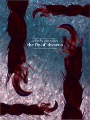 The Fly of Theseus