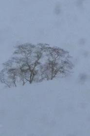 Landscape as Landscape - 25