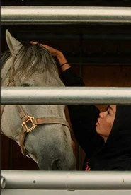Talliyah