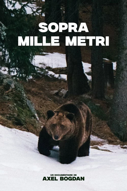 Sopra Mille Metri