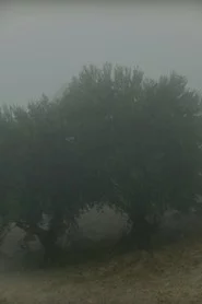 لماذا أراكِ في كل شيء؟