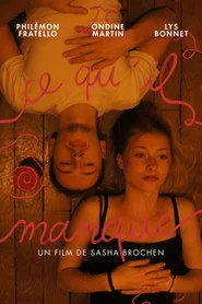 Ce qu'il manque
