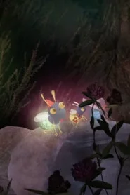 Firefly