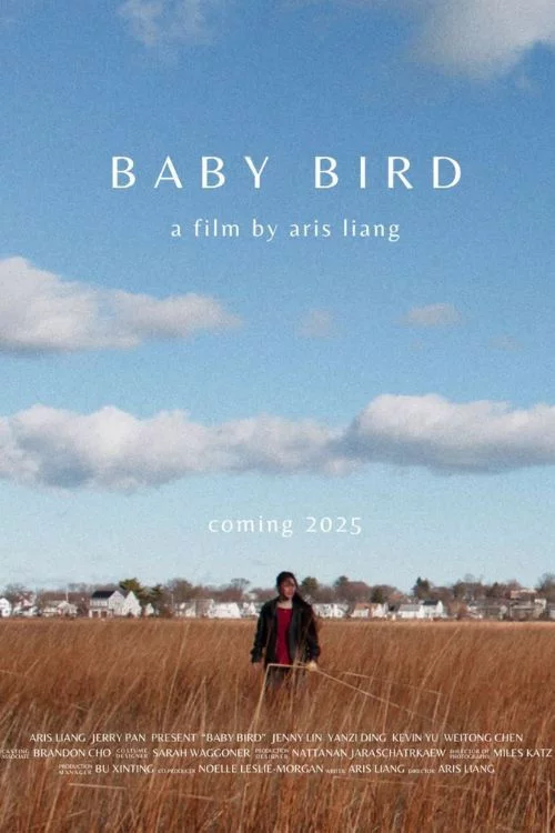 Baby Bird