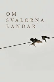 Om svalorna landar