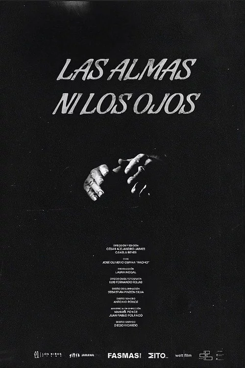 Las almas ni los ojos