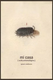 Mi casa [suite entomológica]