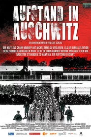 Aufstand in Auschwitz