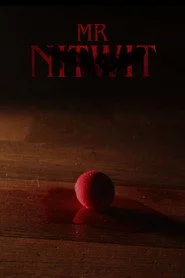 Mr Nitwit