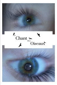 Le Chant Des Oiseaux
