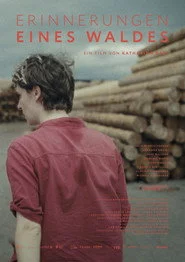 Erinnerungen eines Waldes