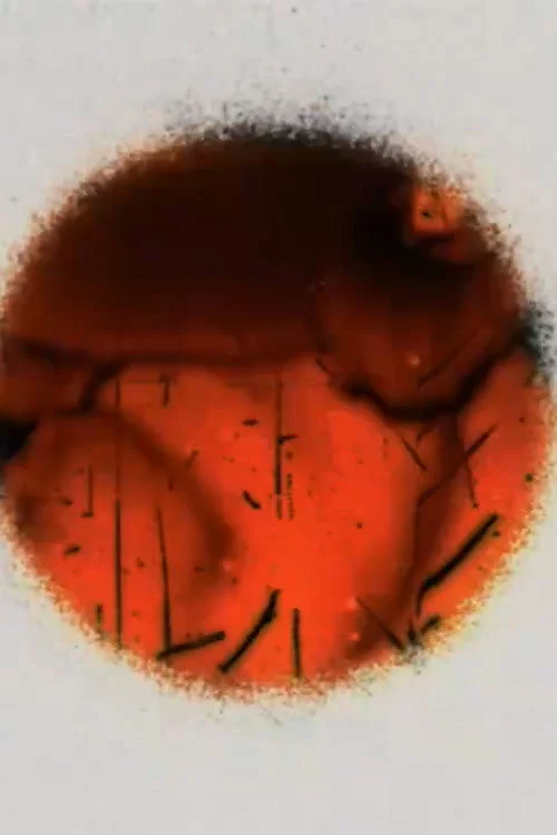 Cerclitudes II