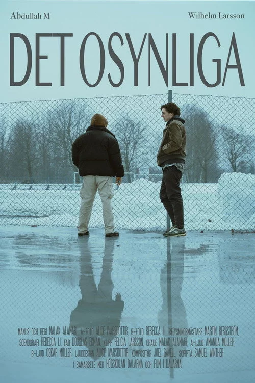 Det osynliga